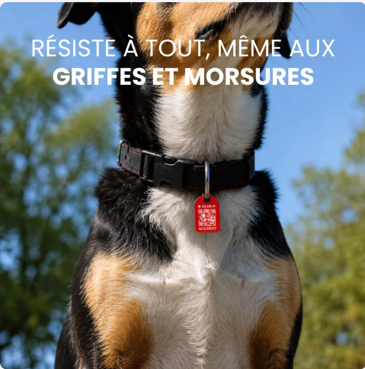 Pack Porte-clés x4